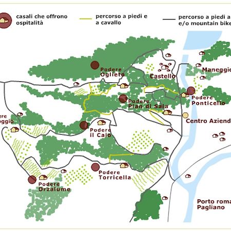 Tenuta Di Corbara Corbara  Екстериор снимка