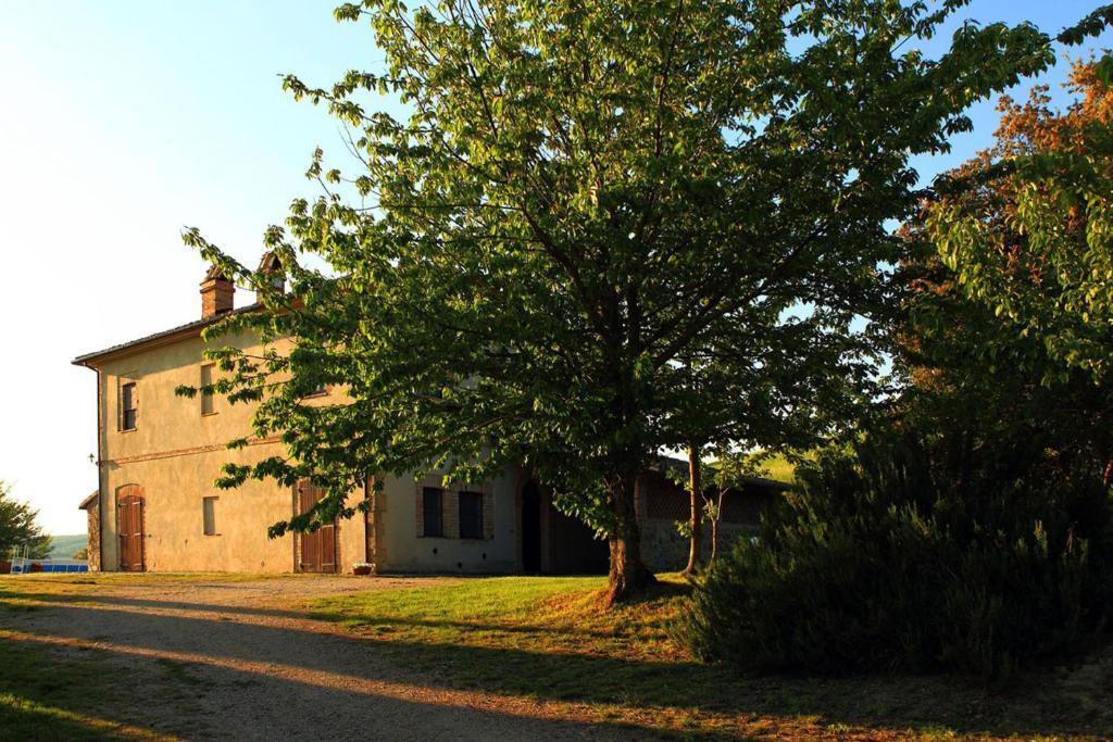 Tenuta Di Corbara Corbara  Стая снимка