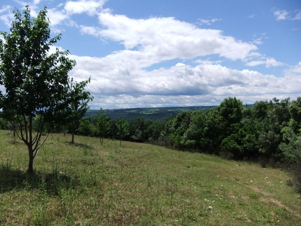 Tenuta Di Corbara Corbara  Екстериор снимка