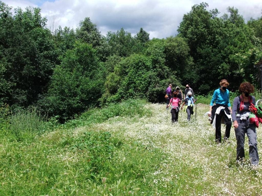 Tenuta Di Corbara Corbara  Екстериор снимка
